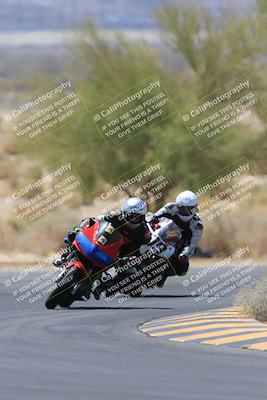 media/May-14-2023-SoCal Trackdays (Sun) [[024eb53b40]]/Turn 5 Tree of Life (1125am)/